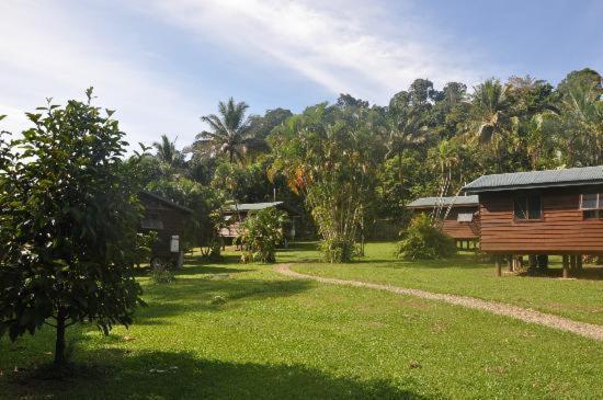 Daintree Rainforest Bungalows Villa Cow Bay Exterior foto